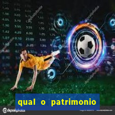 qual o patrimonio de nelson wilians